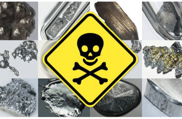 Take Control of Your Health at Home in St Petersburg – Know how Heavy Metals Affect You