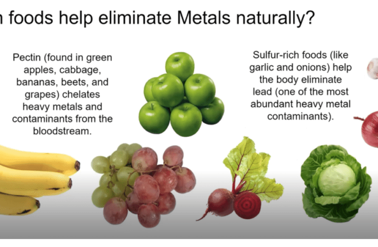 Eliminate Heavy Metals Naturally in St Petersburg